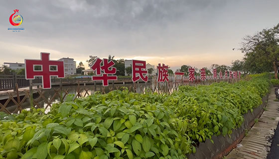 貴港：民族團結(jié)進步創(chuàng)建專題采訪報道活動