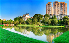 桂平市：強(qiáng)基礎(chǔ)優(yōu)服務(wù) 守護(hù)群眾健康