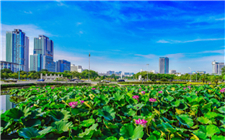 第十五次全市民政會(huì)議召開 朱會(huì)東作批示 林海波講話