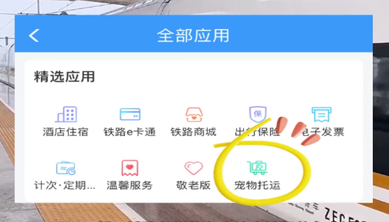 寵物貓狗能坐高鐵啦！
