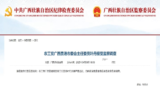 農(nóng)工黨廣西貴港市委會(huì)主任委員葉丹涉嫌嚴(yán)重違法