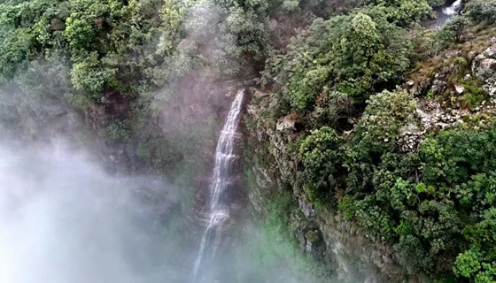 不用去廬山！貴港也有《望廬山瀑布》