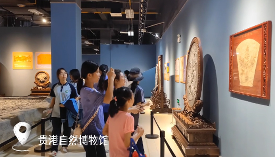 港南三中學(xué)子沉浸式感受自然奧秘+農(nóng)耕樂趣+科技魅力！