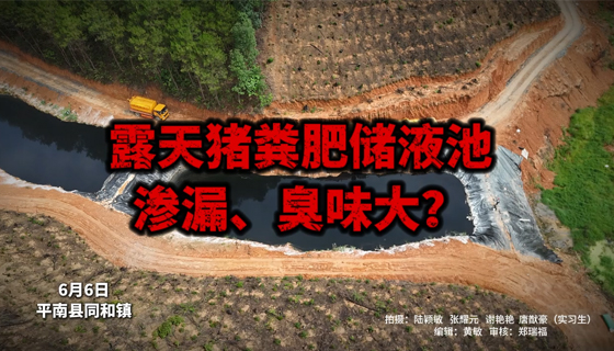露天豬糞肥儲液池滲漏、臭味大？