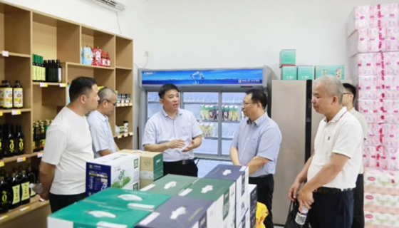 中新社廣西分社考察組赴貴港市融媒體中心調(diào)研