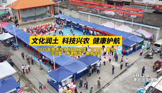 2025年貴港市文化科技衛(wèi)生“三下鄉(xiāng)”集中示范暨 “貴港甄選”集市活動(dòng)