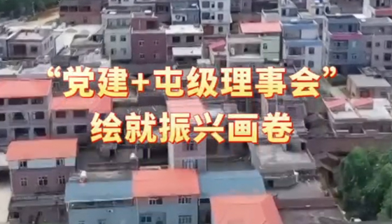 “黨建+屯級理事會”繪就振興畫卷